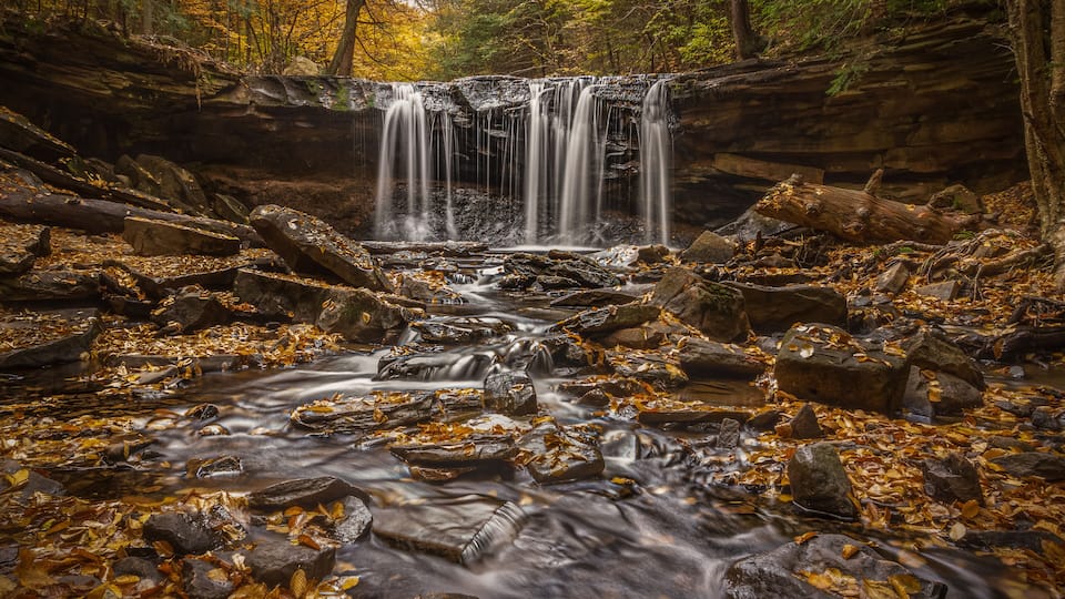 A waterfall in a forest with autumn leaves.
