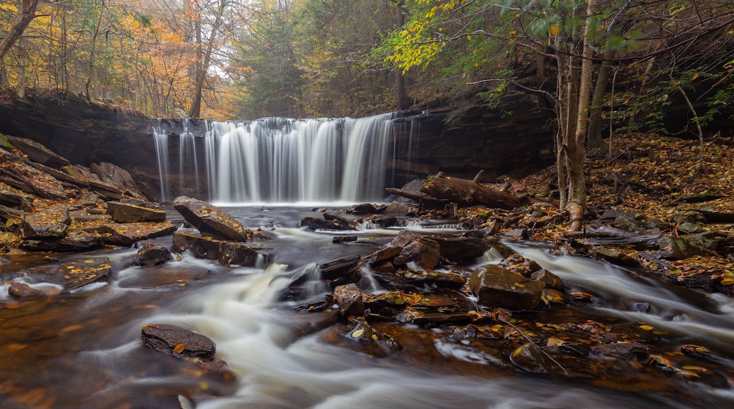 Oneida Falls