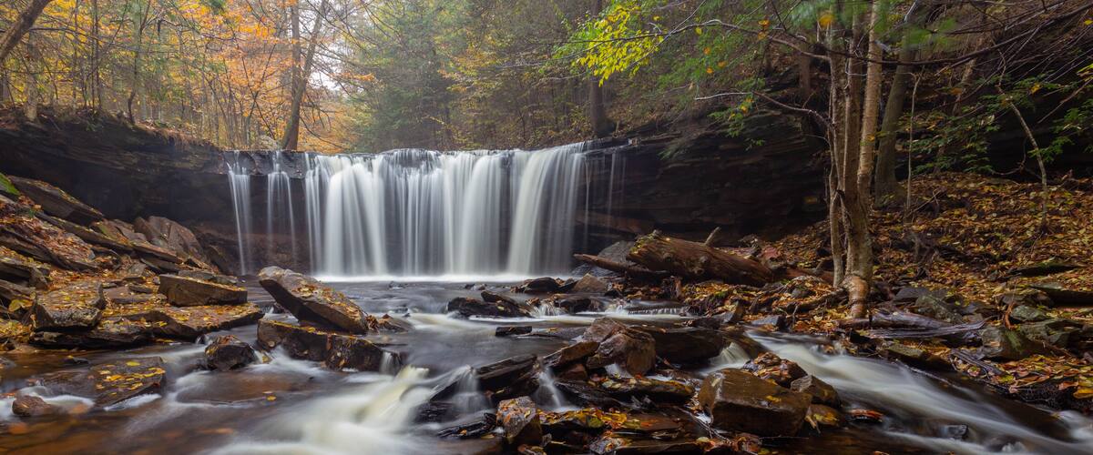 A waterfall in a forest with autumn leaves.