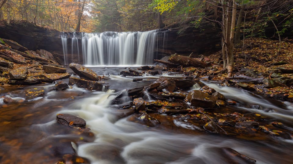 A waterfall in a forest with autumn leaves.