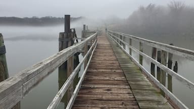 Spent a foggy morning looking for bald eagles. Did not see any but enjoyed the walk.