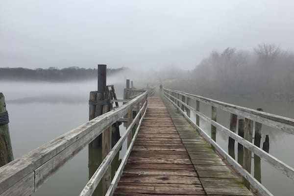 Spent a foggy morning looking for bald eagles. Did not see any but enjoyed the walk.