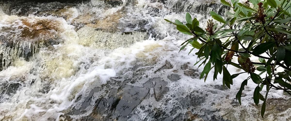 After a big thunderstorm! Barely crossed the river ❤️
