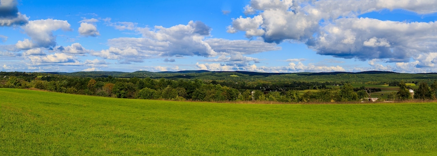 Un champ verdoyant, avec une colline à l’horizon et un ciel nuageux.