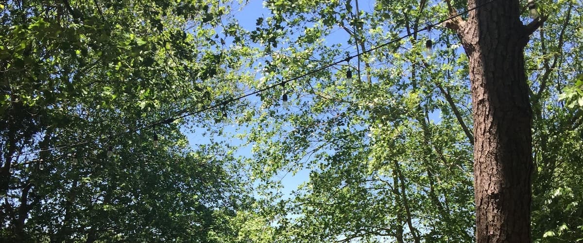 Peaceful Sunday 🌞🌷