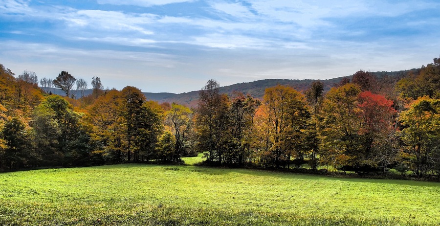 Beautiful autumn leaves. Colors change with the season on row of trees at green, grassy field's edge. Hilltops behind and blue sky with wispy clouds above. Catskill Mountains, New York State, USA.
