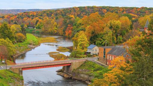 Beautiful 1/2 mile hike through woods to scenic view.