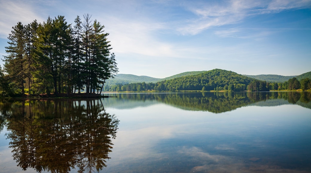 Red House Lake, Allegany State Park