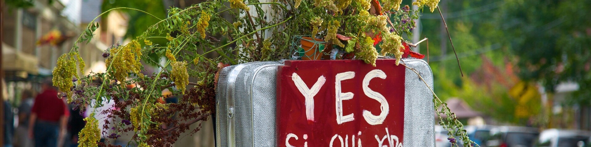 Sharon Springs featuring signage