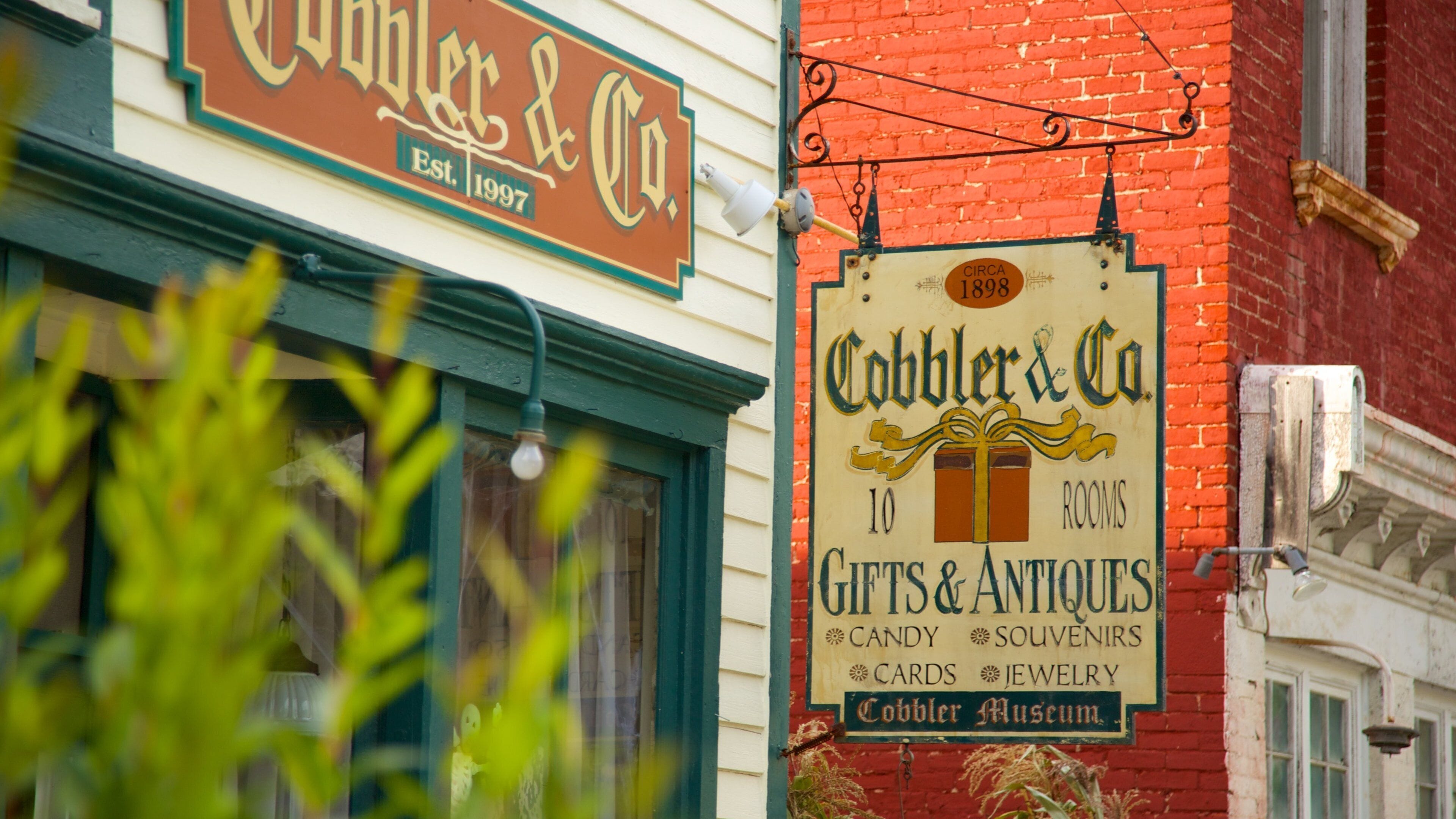 Sharon Springs showing signage