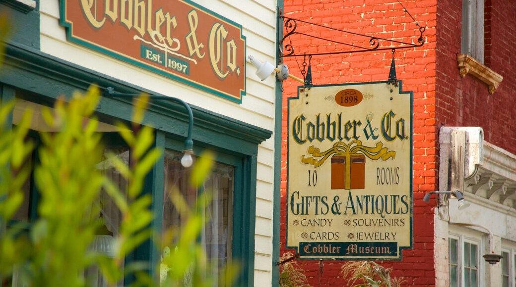 Sharon Springs showing signage