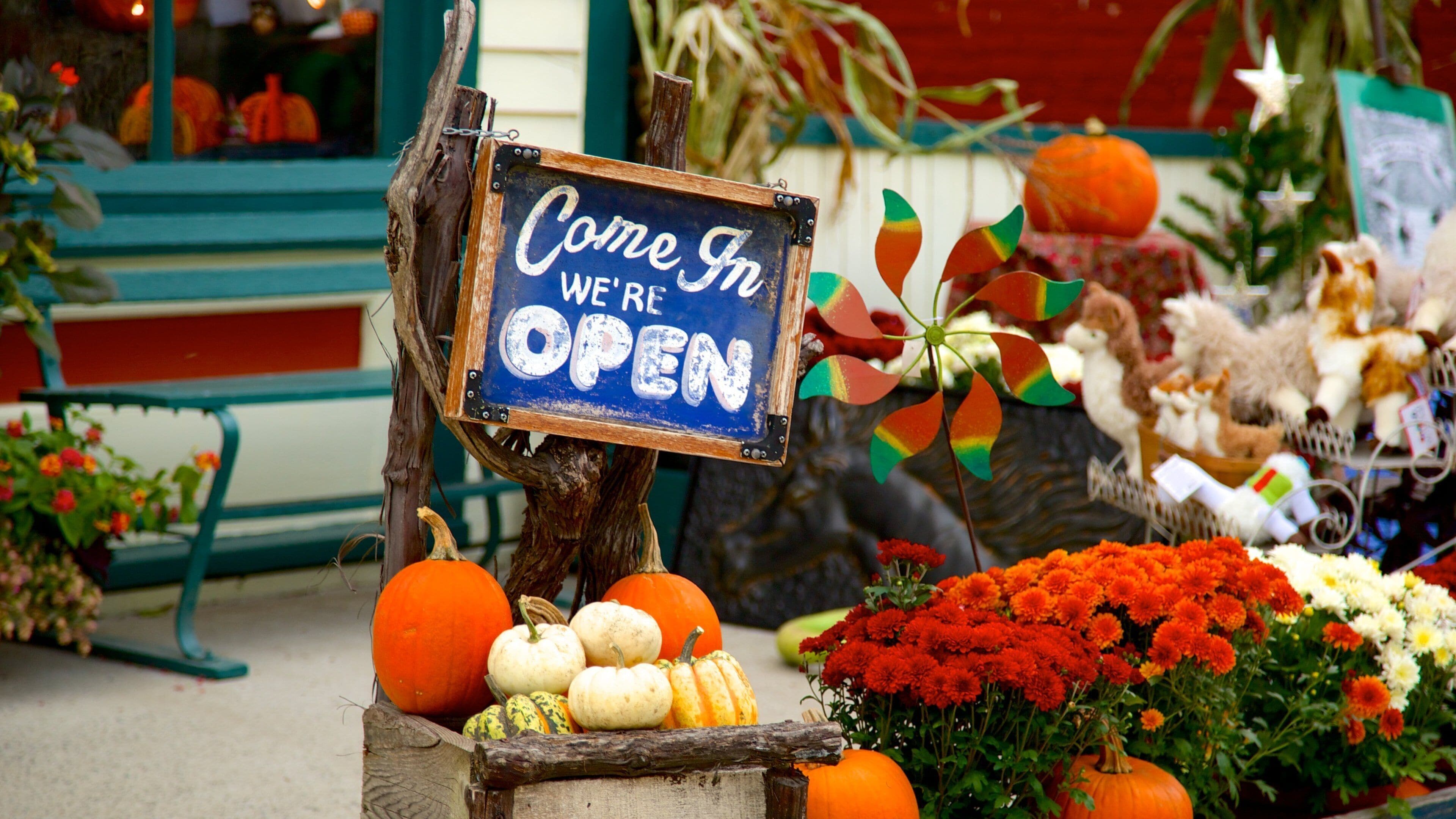 A sign that reads "Come In We're Open" with pumpkins and flowers in the foreground.