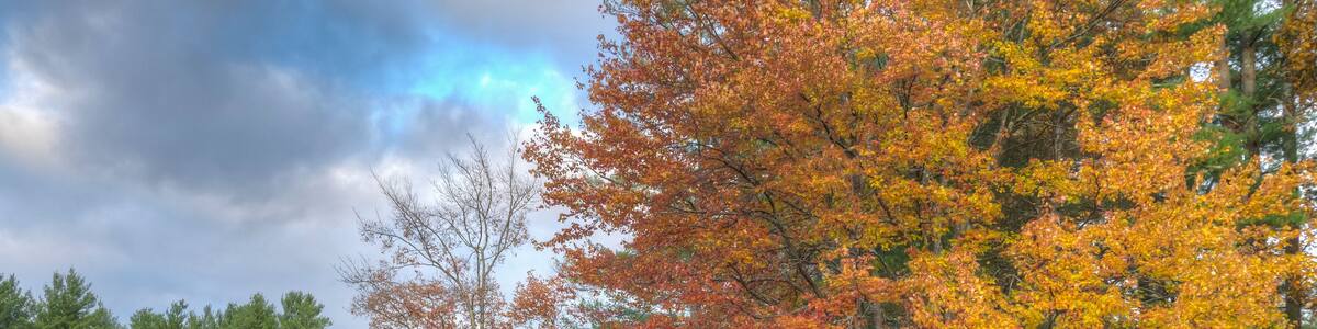 On small pond in Upstate New York