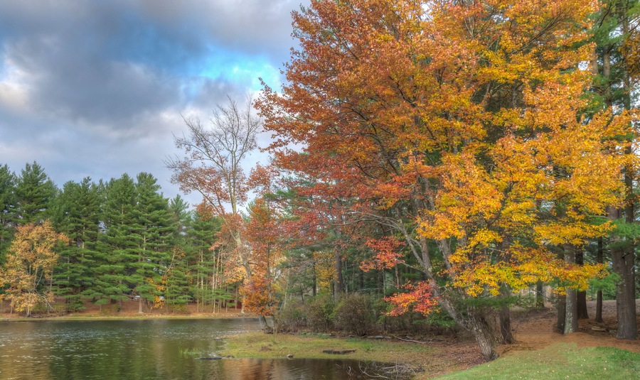 On small pond in Upstate New York