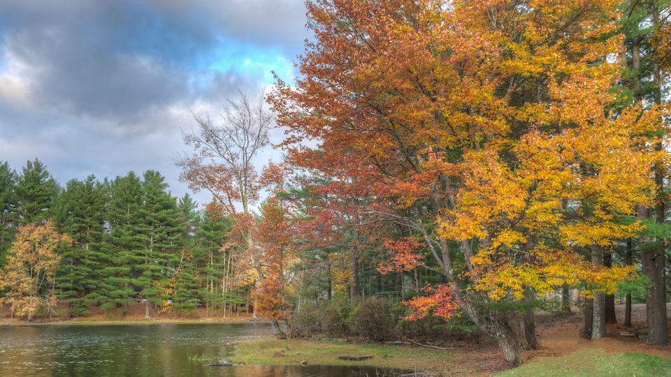 A lake surrounded by trees with autumn foliage.