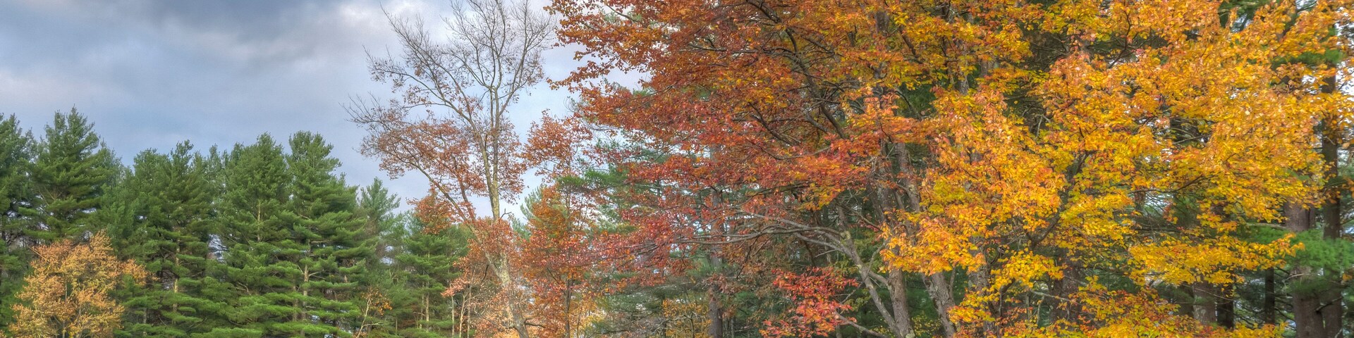 On small pond in Upstate New York