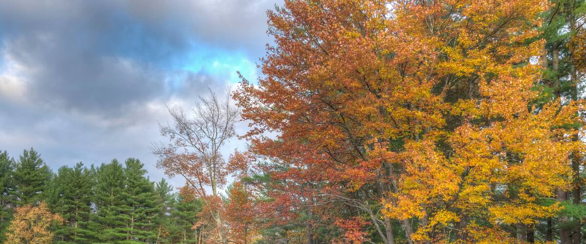 A lake surrounded by trees with autumn foliage.