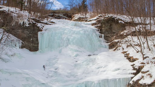 A vertical image of Montour Falls, frozen on a sunny winter day, which is located in Schuyler County, New York State about 10 miles south of Watkins Glen.
