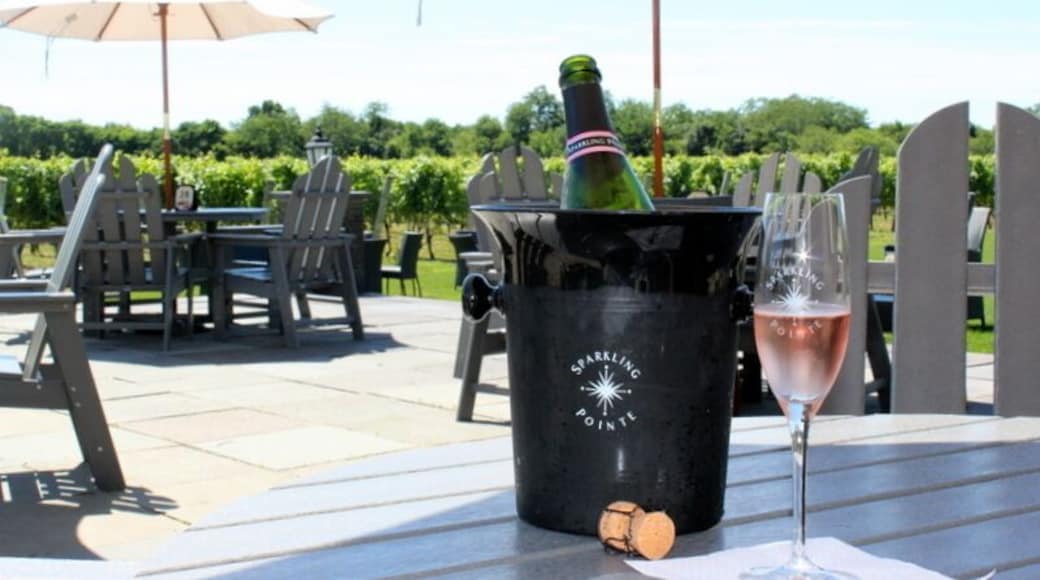 Cleanest, prettiest winery on the east end of Long Island! Try the Cuvee' Rose!