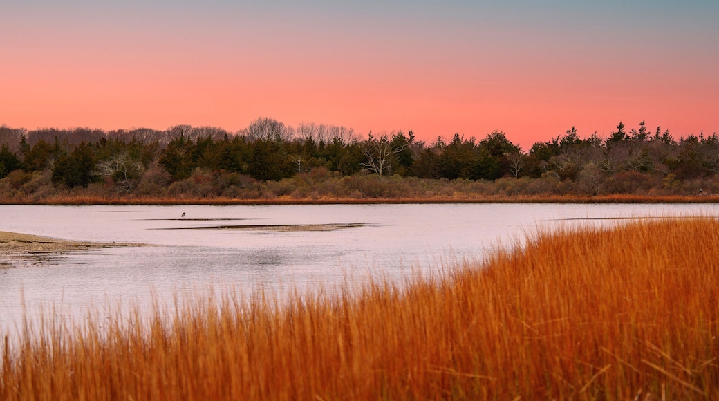 Tranquil sunset seascape on Truman's Beach Marsh in Southold, Long Island, New York, USA