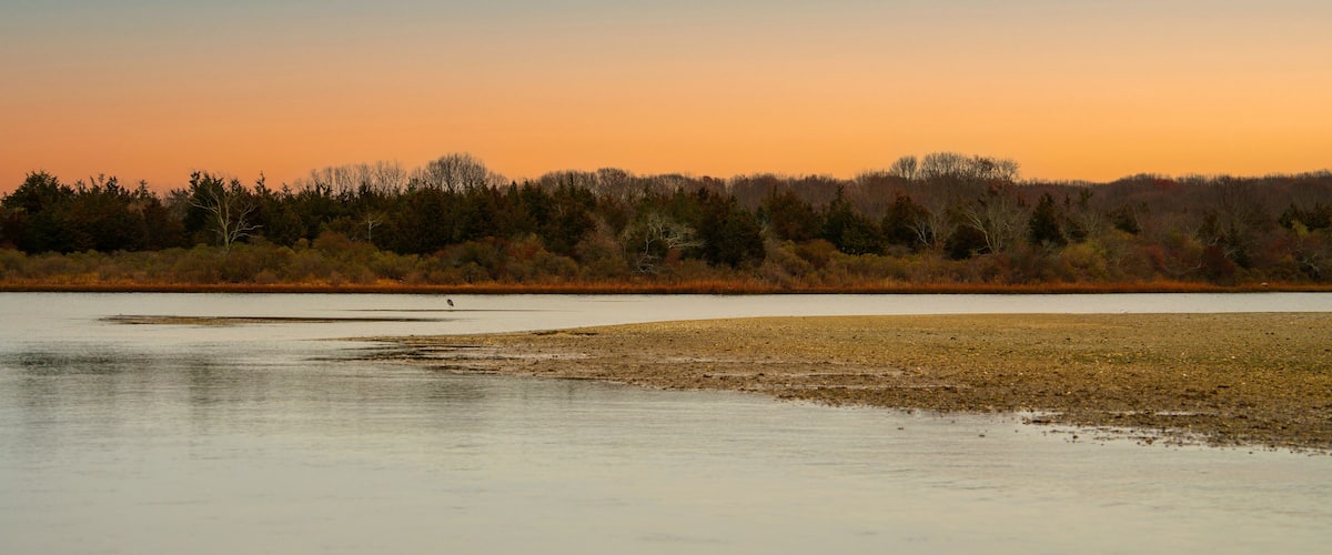 A calm lake with a forest in the background during sunset.