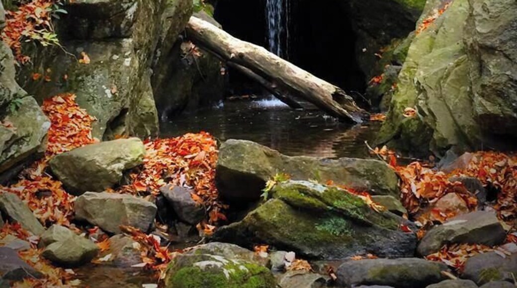 Not far from the two car parking spot up the bank and follow the trail. Best in the fall.