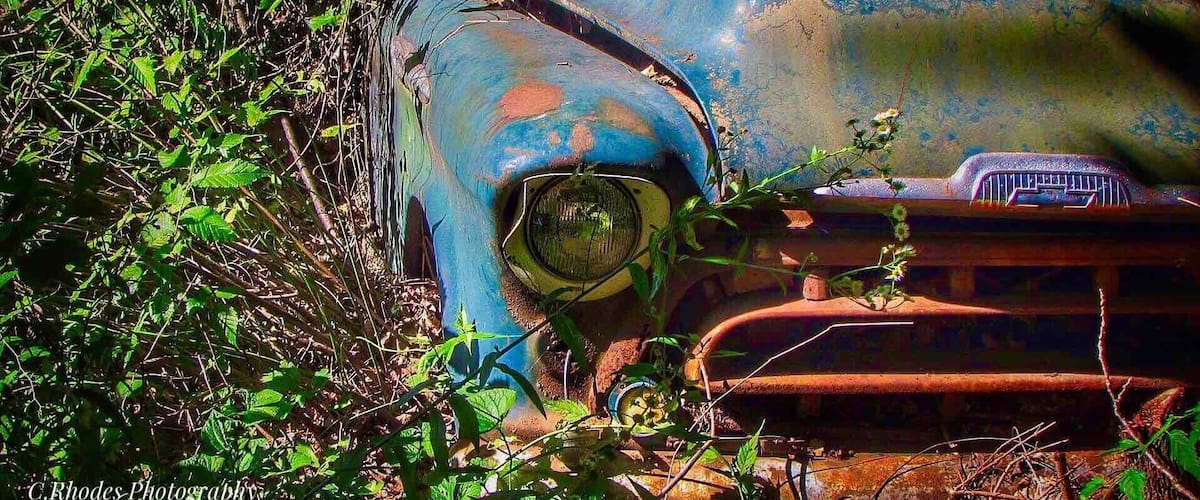 A rusted vehicle surrounded by overgrown vegetation.