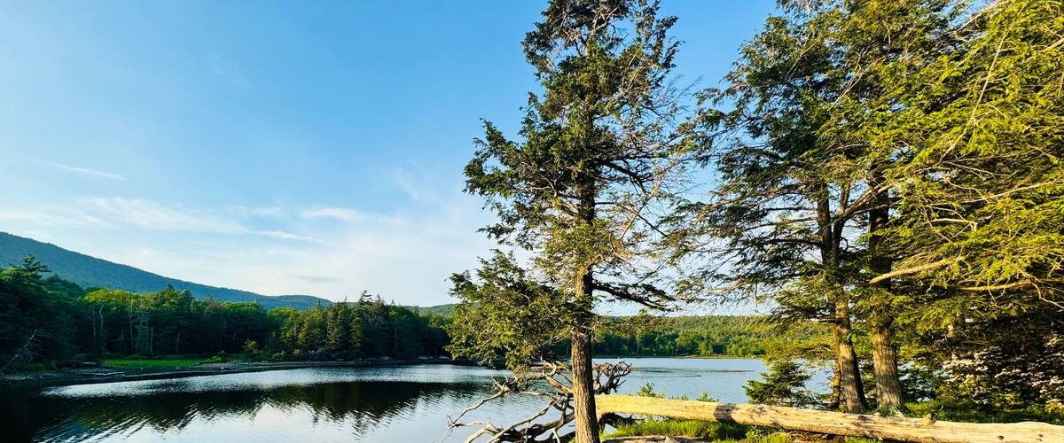 Un lago tranquilo rodeado de bosque denso y terreno rocoso.