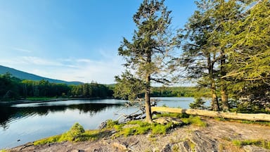 Um lago tranquilo rodeado por floresta densa e terreno rochoso.