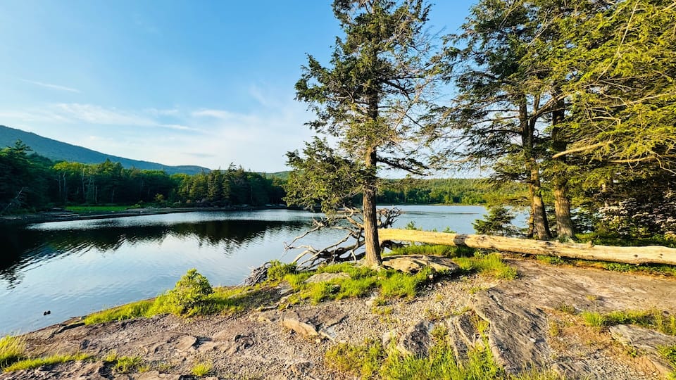 A calm lake surrounded by dense forest and rocky terrain.