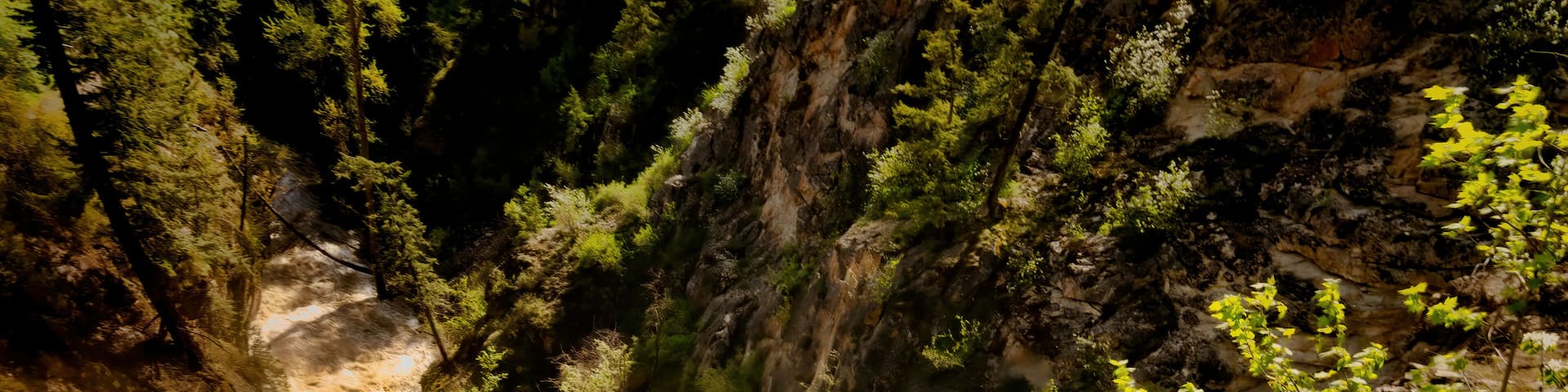 Shorts Creek waterfall 2
