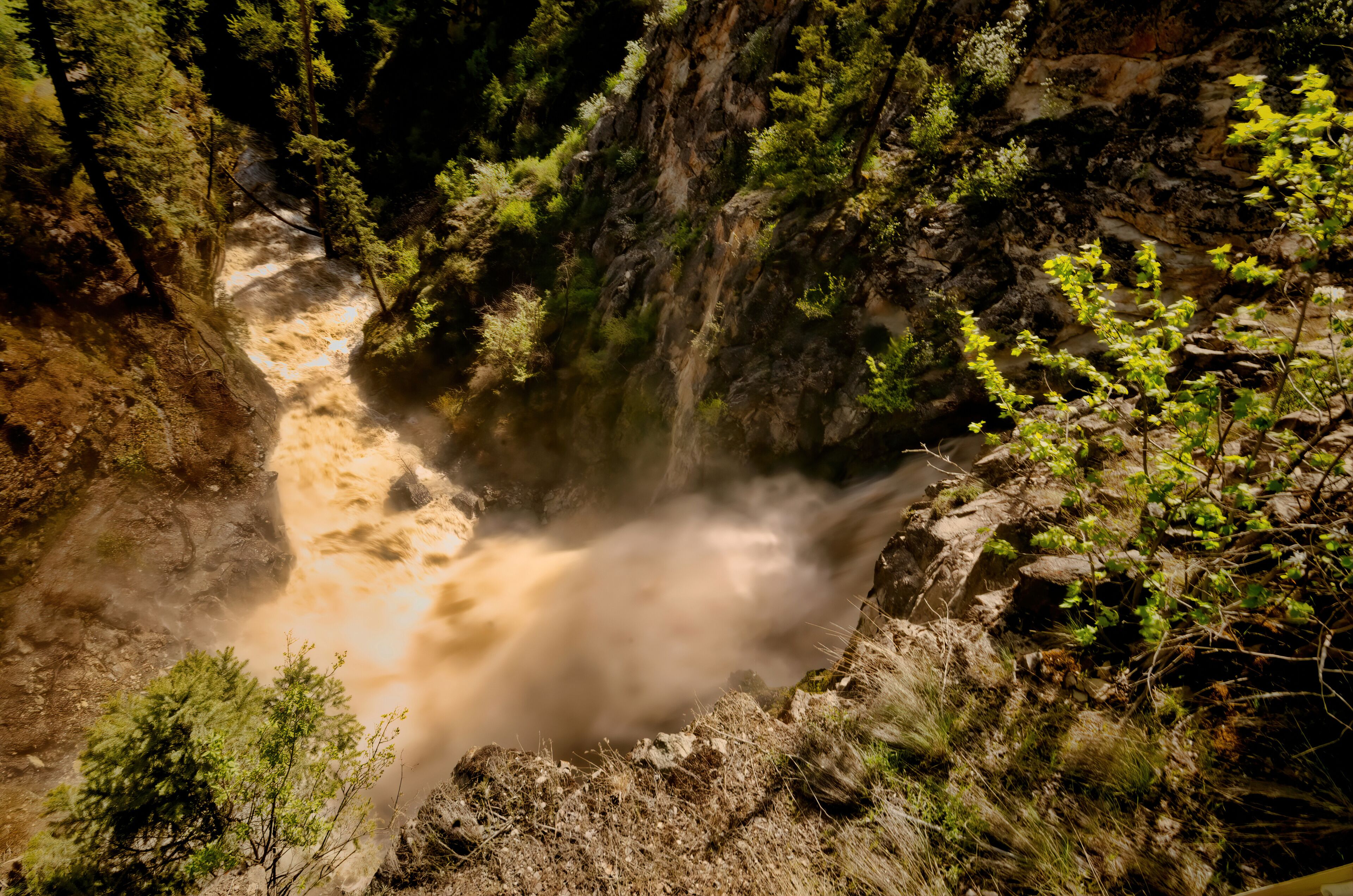 A waterfall in a forested gorge with rocky terrain and dense greenery.