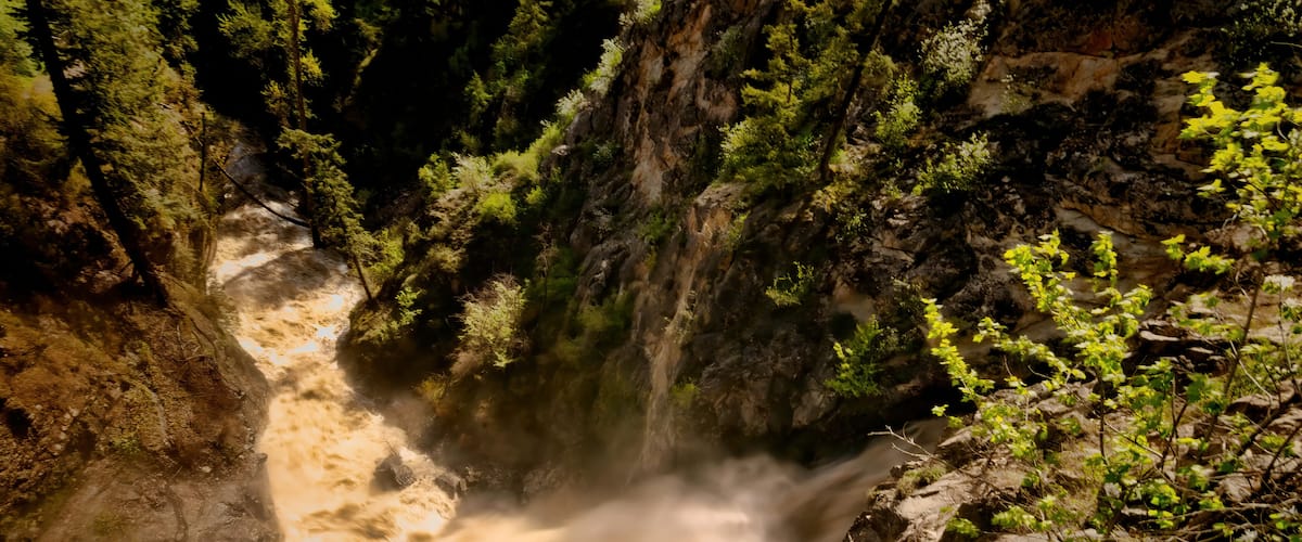 A waterfall in a forested gorge with rocky terrain and dense greenery.