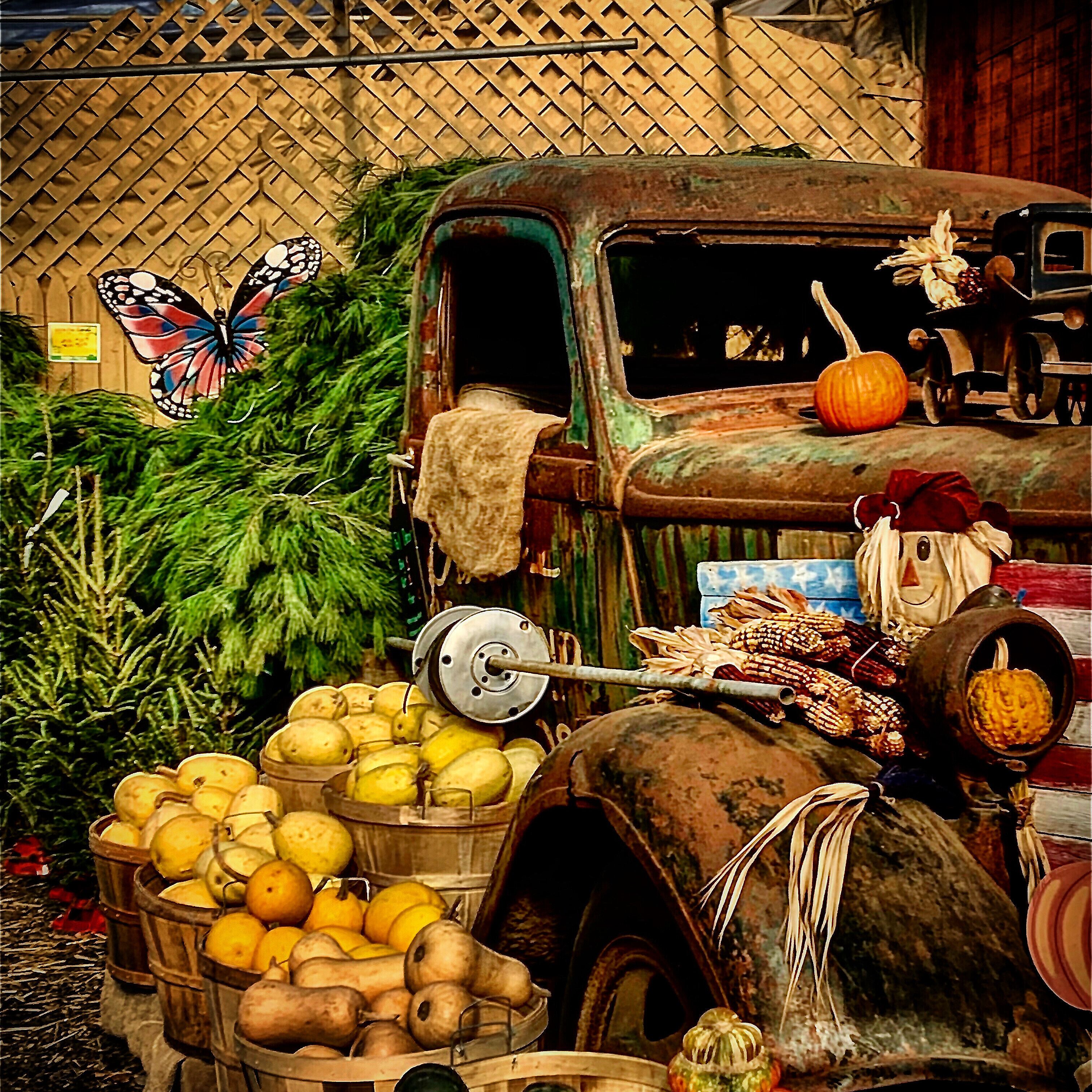 Display on a Long Island farm. #trovember