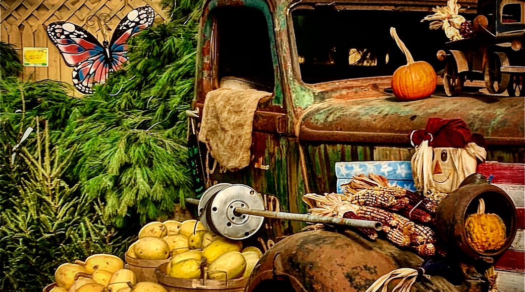 Display on a Long Island farm. #trovember