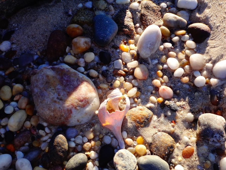 North Shore Beaches bedazzled with stones and shells