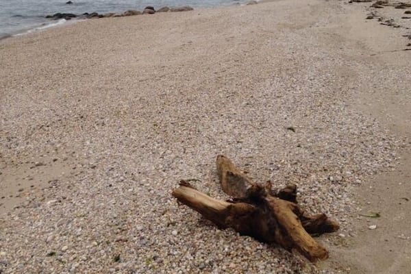 Beautiful north shore beaches, filled with big cliffs and drift wood along the miles of beaches.
#waterlust