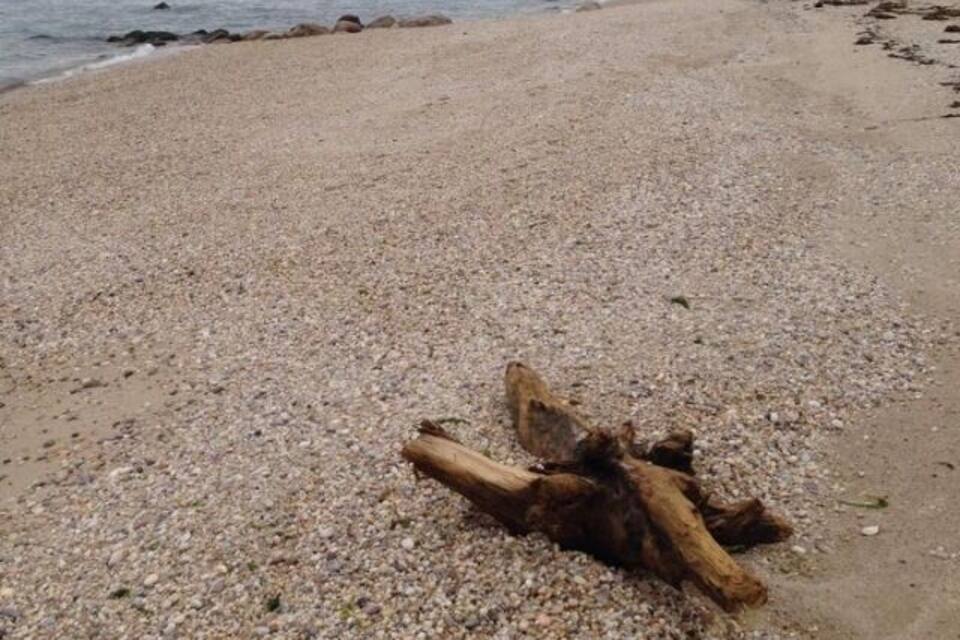 A pebbled beach with driftwood and a rocky cliff in the background.