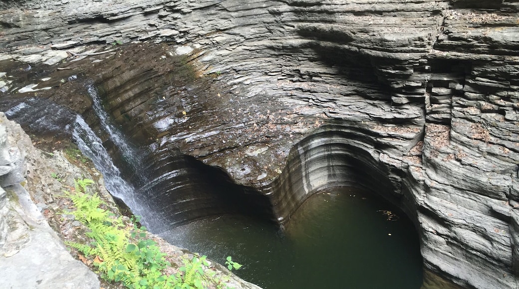 Heart-shaped 😍😍august 2016 during drought