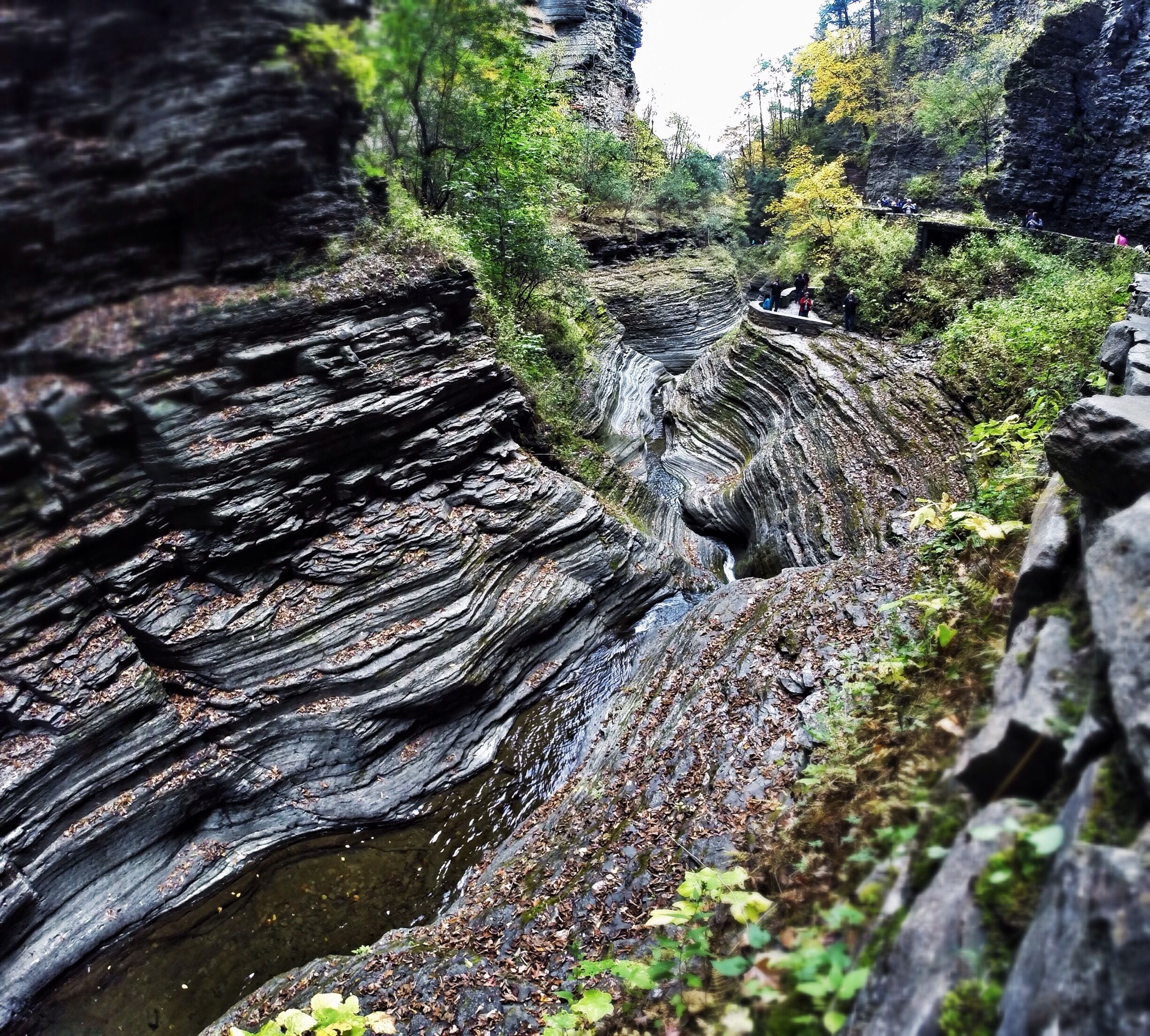 So the third time was the charm to get in here. First time was during winter and its closed due to the treacherous conditions. Next was Spring and flooding prevented me from entering. Fall worked out perfectly!