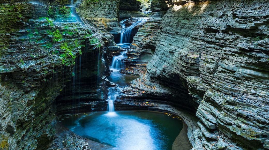 Watkins Glen state park