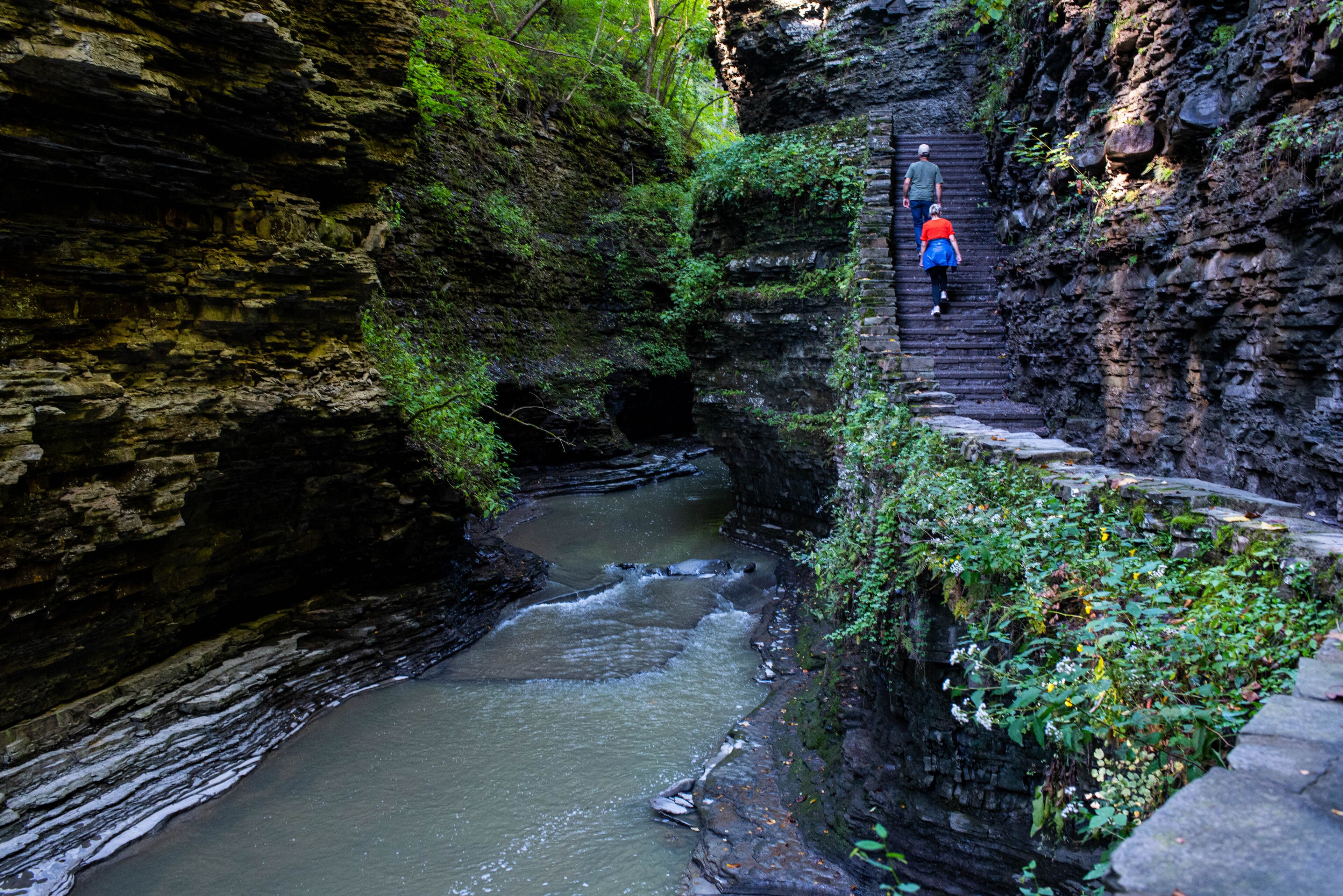 Watkins Glen