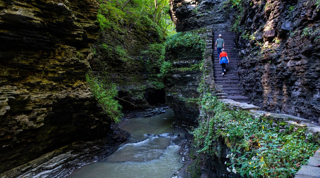Watkins Glen