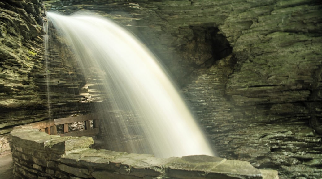 The amazing Gorge Trail at Watkins Glen State Park is an absolute must-do! There are 19 different watefalls on this incredible 2-mile hike, including this one that you walk right under. It's a relatively easy hike, but there are a lot of stairs. Also, bring a raincoat or something to protect your camera - it's easy to get wet!