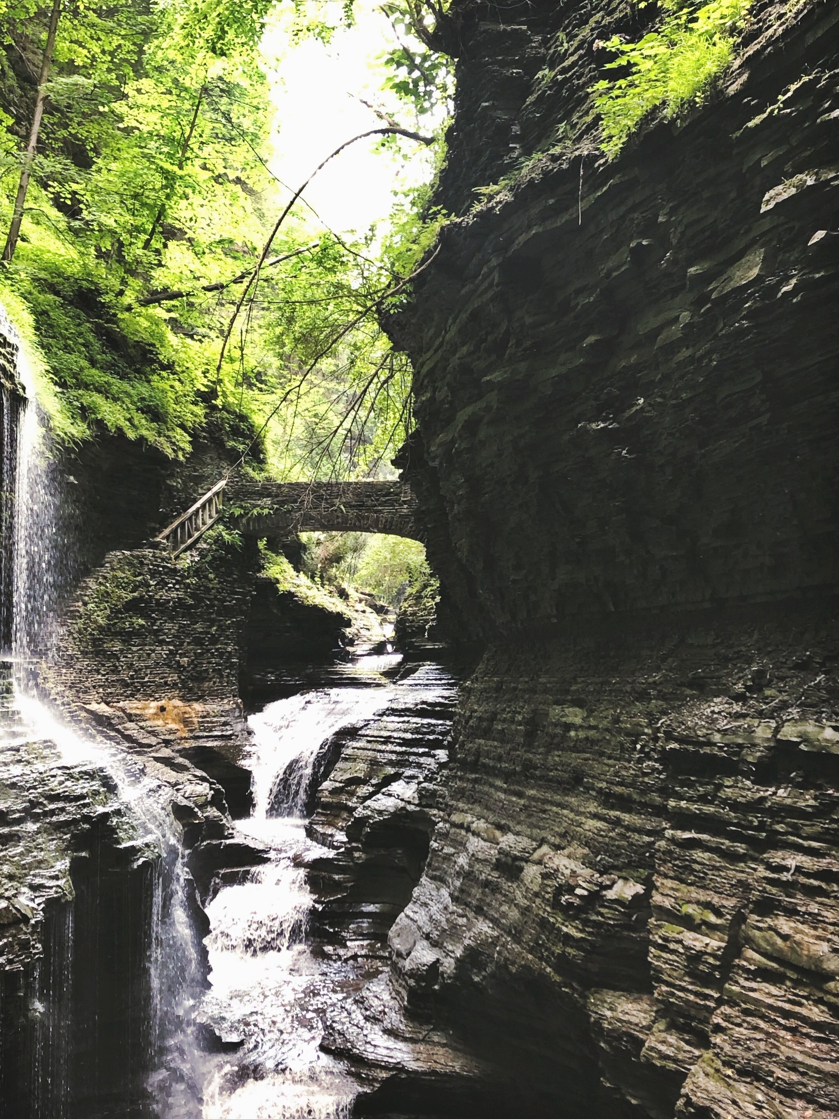 The Finger Lakes is like stepping into a Tolkien-esque land, all for a hiker’s gaze. 

#hiking #fingerlakes #roadtrip #stateparks #waterfalls #nature
