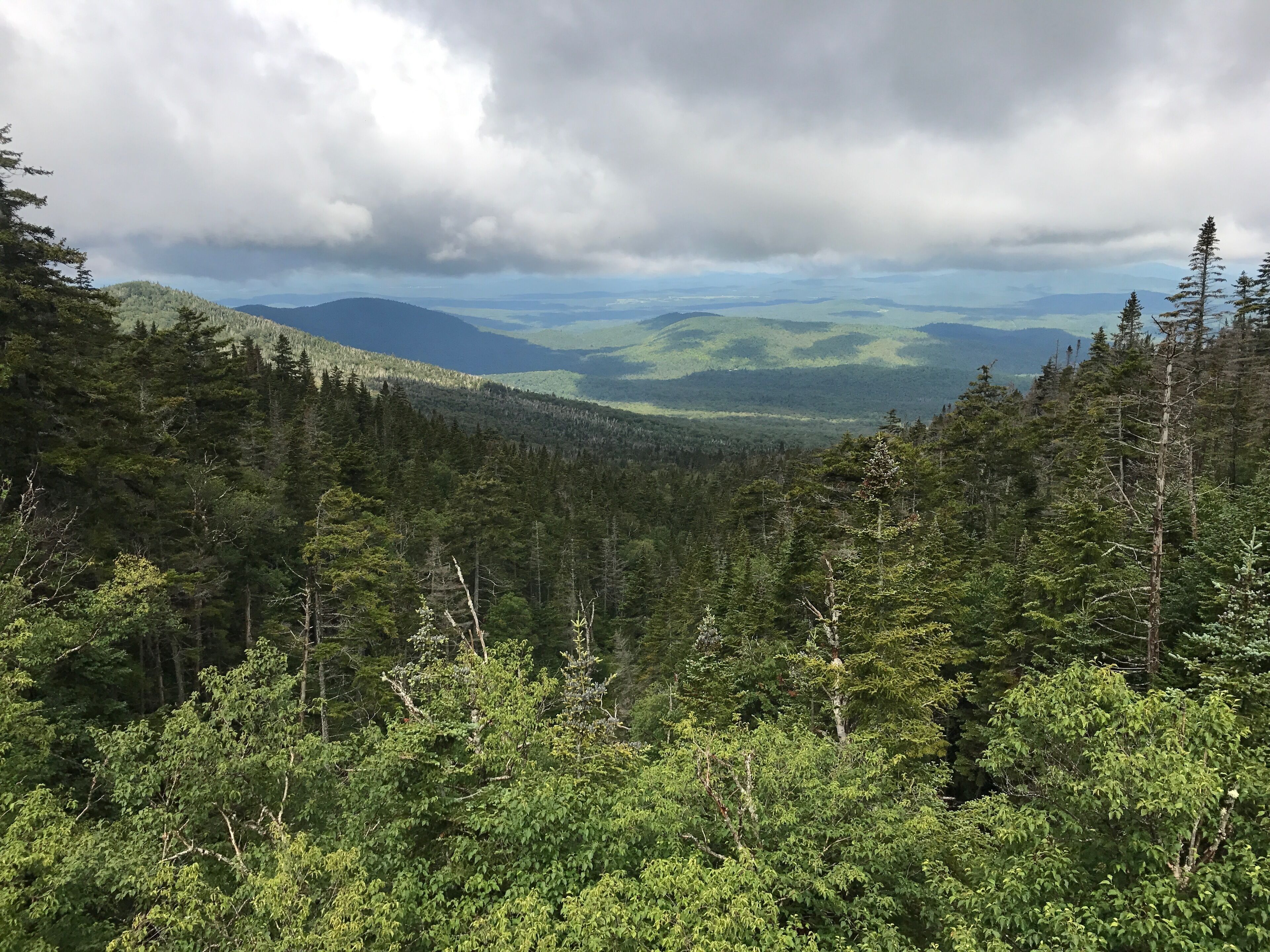 View from access road to observation tower on Whiteface.