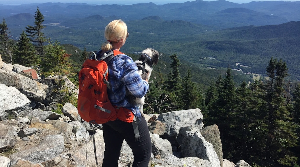 While hiking to the top of Whiteface Mountain, it takes about 3,5 hours at a regular pace from the very bottom.