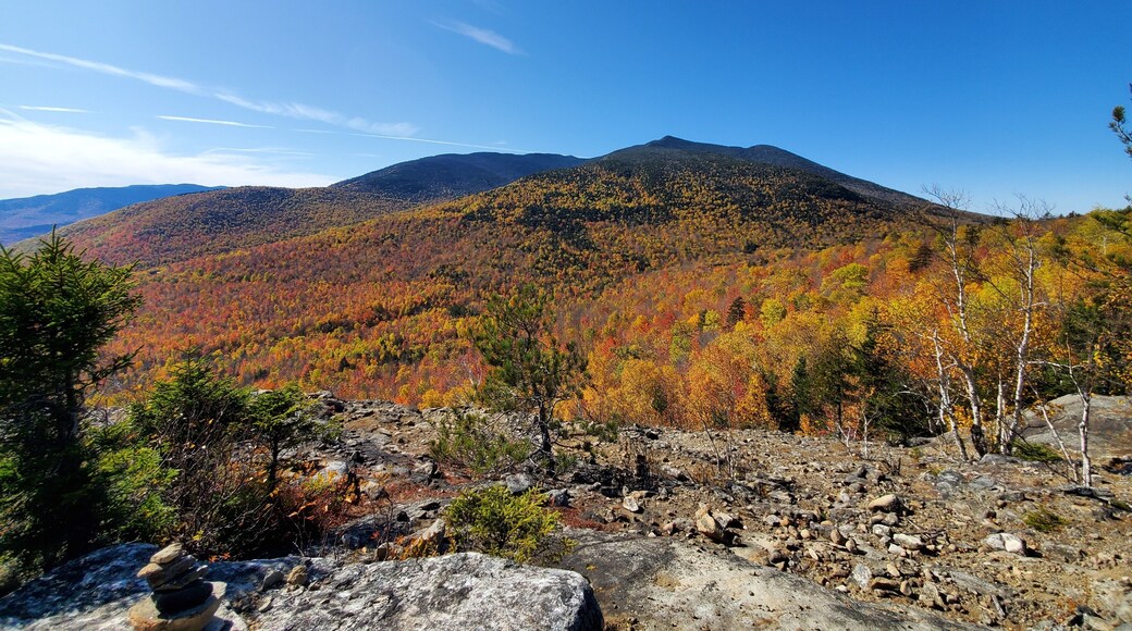 Breathtaking views of the Adirondacks at the end of a fantastic forest hike!
#LifeAtExpediaGroup
