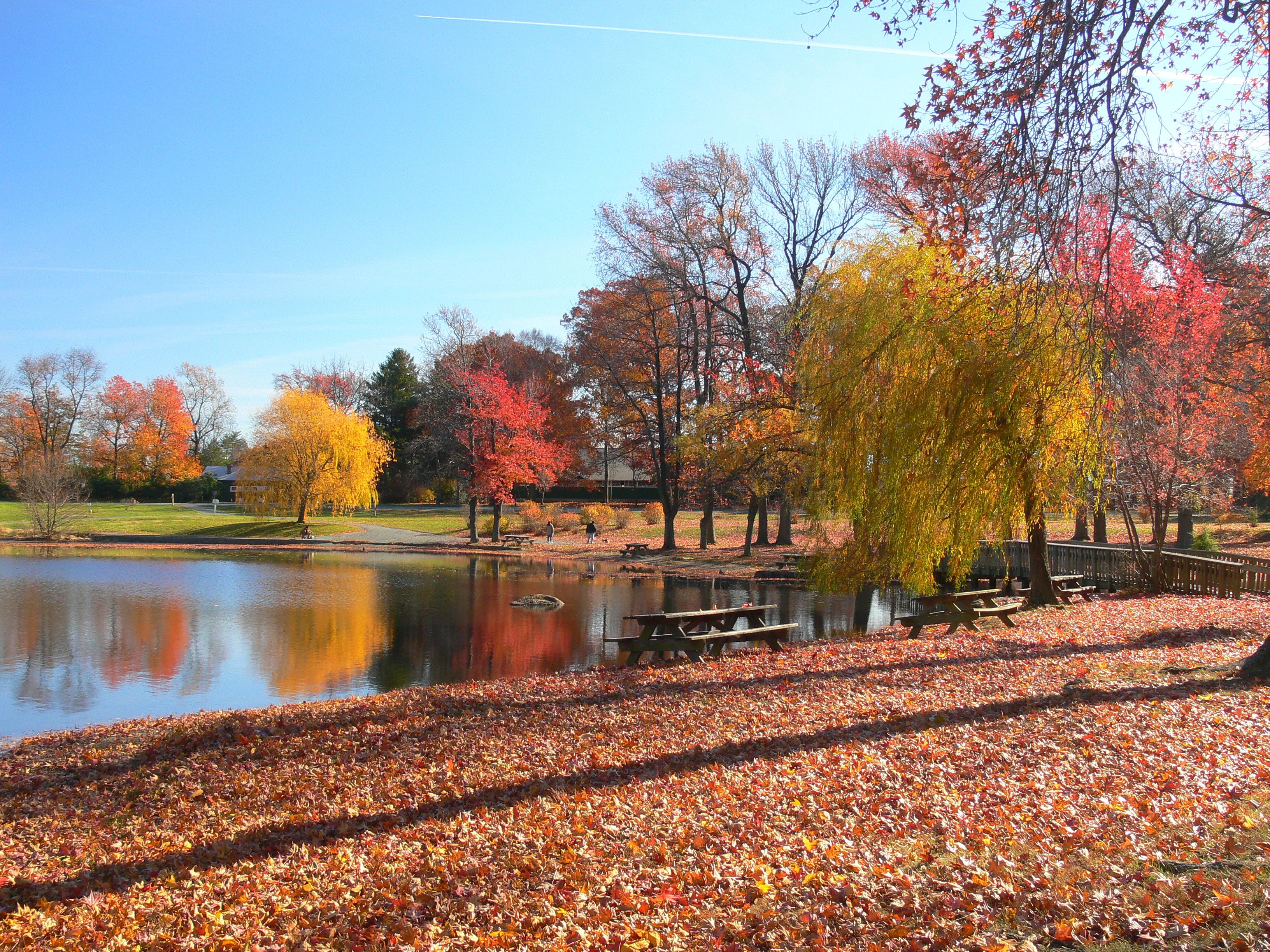 Autumn colours in Wilmington, USA