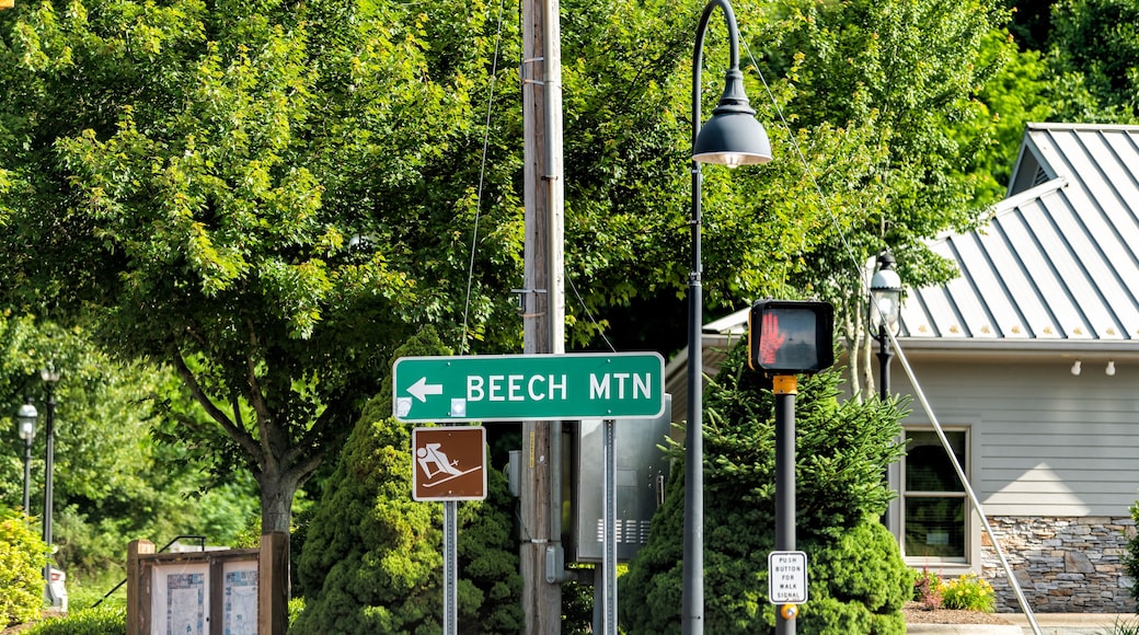 Una señal de calle indica BEECH MTN, un botón para el semáforo peatonal y un banco en un parque.